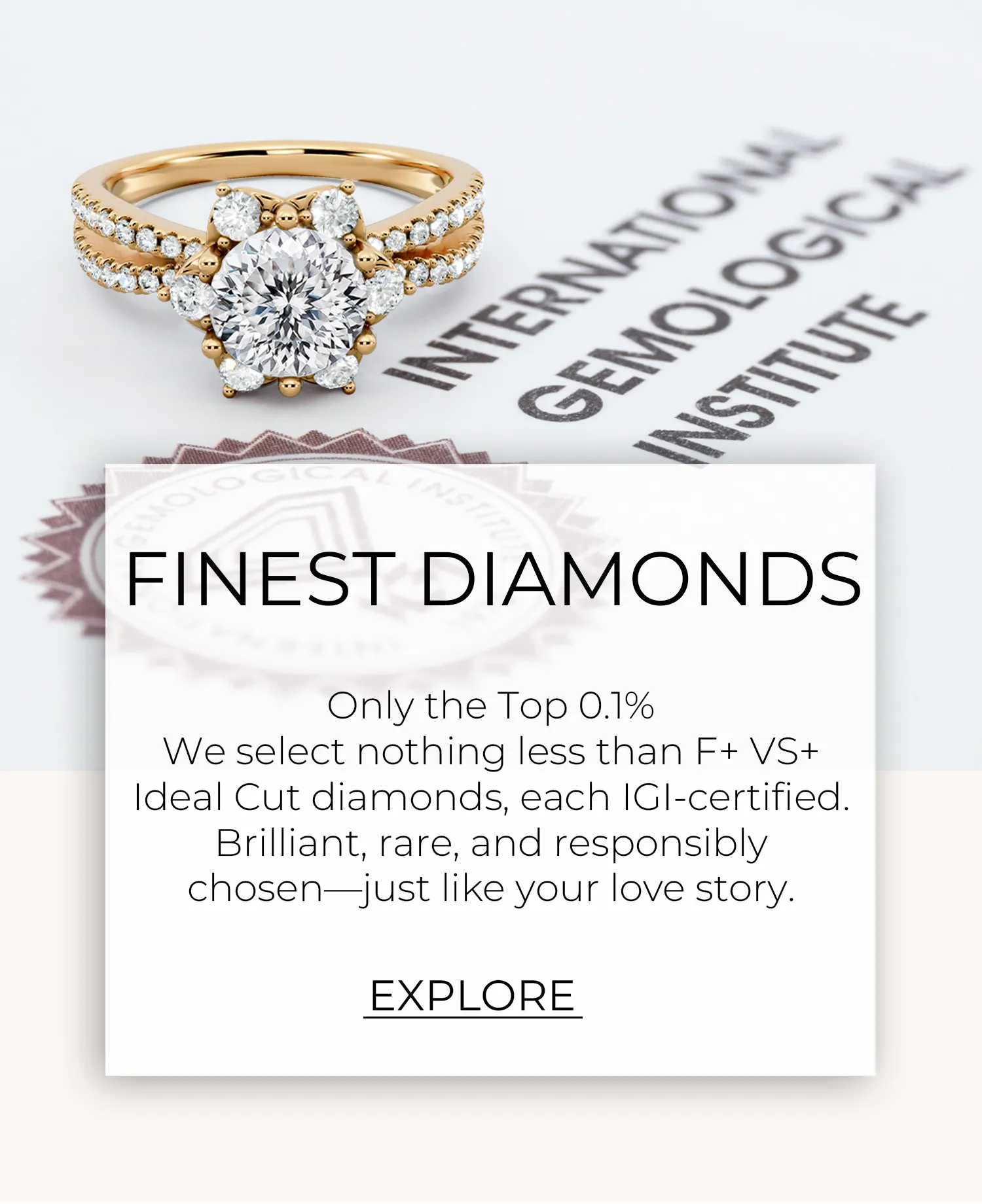 Home dm 20260226194451 074