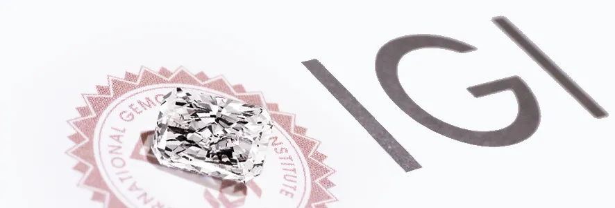 dm 20260228182639 045